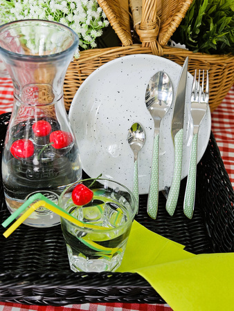 zestaw piknikowy dla 6 osób zielony Geo