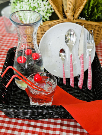 zestaw piknikowy dla 6 osób czerwony Geo