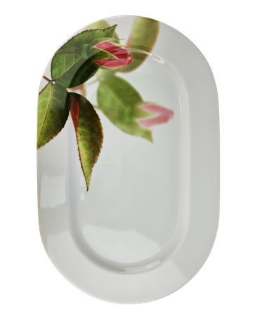 Lubiana Zestaw obiadowy dla 6 osób, 23 elementy Roma/Boss