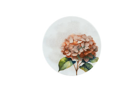 talerz płytki 210mm Vanilla Hortensja Red