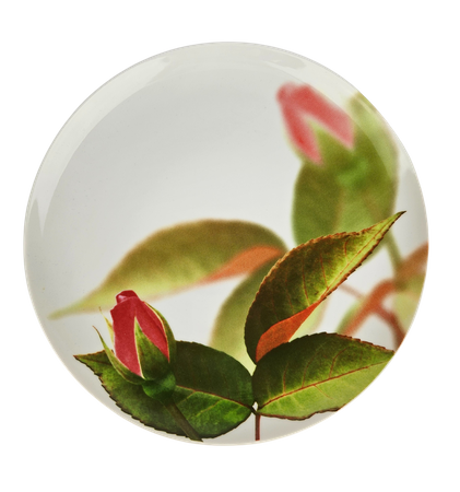 Lubiana Zestaw obiadowy dla 6 osób, 23 elementy Roma/Boss